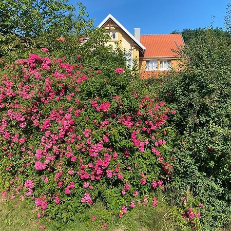 Neulandhof Spoering Διαμέρισμα Walsrode Εξωτερικό φωτογραφία